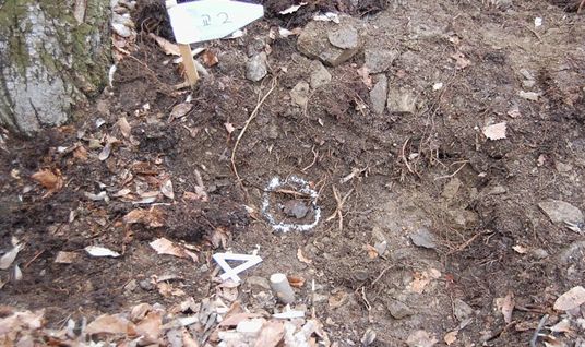 159번째로 신원이 확인된 고 김성근 일병 최초식별 현장사진.(사진=국방부 제공)