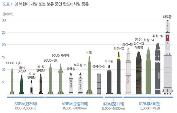 북한이 개발했거나 개발 중인 탄도미사일 현황.(사진 출처=국방백서)