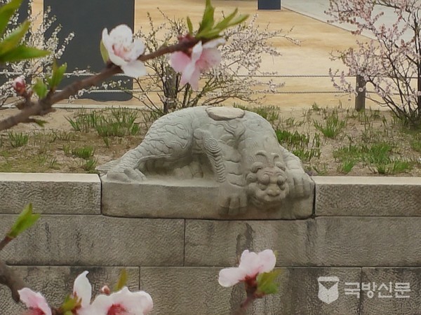 네마리 중에 등에 상처난 천록