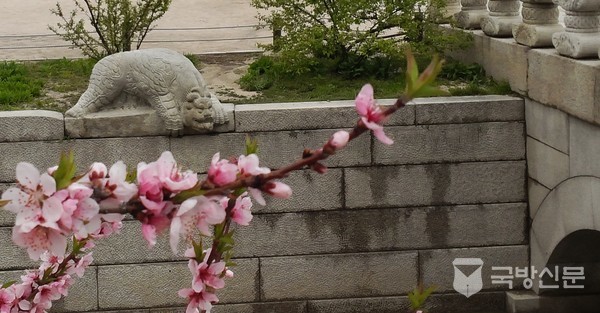 ​근무하는지 장난치는지 모르는 천록 근무자. 즐겁게 근무하는 모습으로 현대에 어울리는 자세일까?​