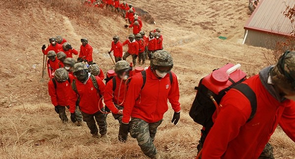국방부는 재난 유관기관과 협조체계 강화, 실시간 정보공유를 통해 신속히 재난에 대응할 수 있도록 국방부와 각 군이 각각 운용하는 재난관리정보체계를 통합하겠다고 7일 밝혔다. 지난 3월 울진·삼척 산불 진화에 나선 해병대 모습. (사진=연합뉴스)