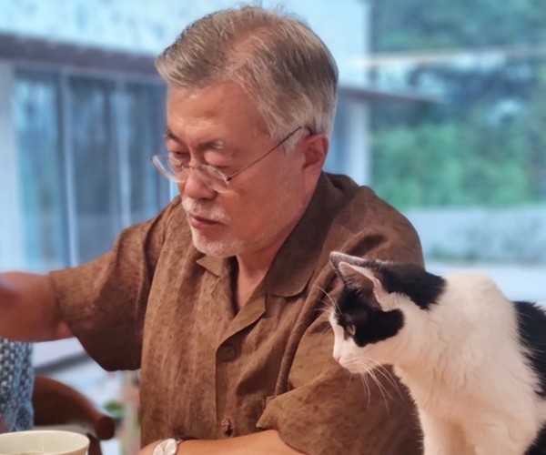 문재인 전 대통령.(사진 출처=문다혜씨 트위터 갈무리)