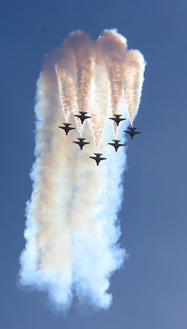 블랙이글스의 멋진 자태