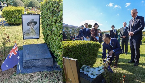 권오을 국가보훈부 장관이 29일 APEC 정상회의 참석차 방한한 앤서니 앨버니지 호주 총리와 함께 부산 유엔기념공원을 찾아 국방신문 주최 ‘6·25 유엔 참전용사 초상화 헌정 및 전시회’를 통해 제작·증정한 호주 참전용사 고(故) 찰스 그린 중령의 초상화(왼쪽 사진)를 그린 중령의 묘지에 헌정한 뒤 헌화하고 있다. (사진=국가보훈부 제공)